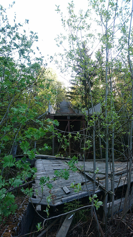Oddbakken