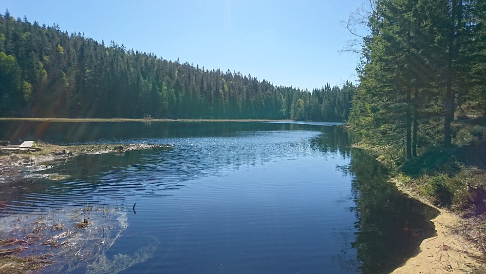 Vealøsmyra ved Gramsebu