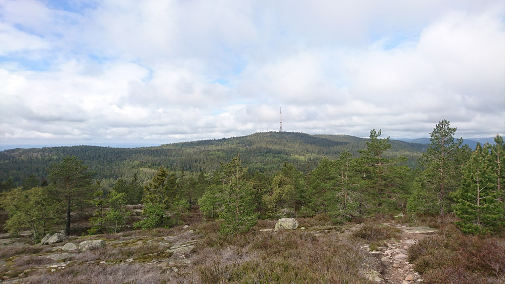 Fra Østre mot Vestre Vealøs