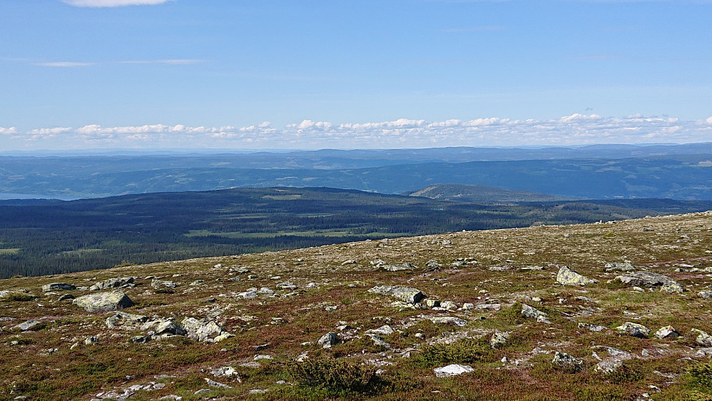 Utsikt sørvestover fra Nevelfjell. Balbergkampen litt til høyre for midten i bildet.