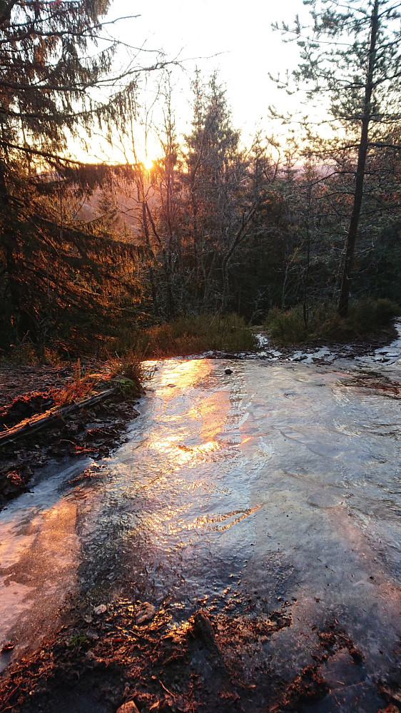 Sola speiles i isen