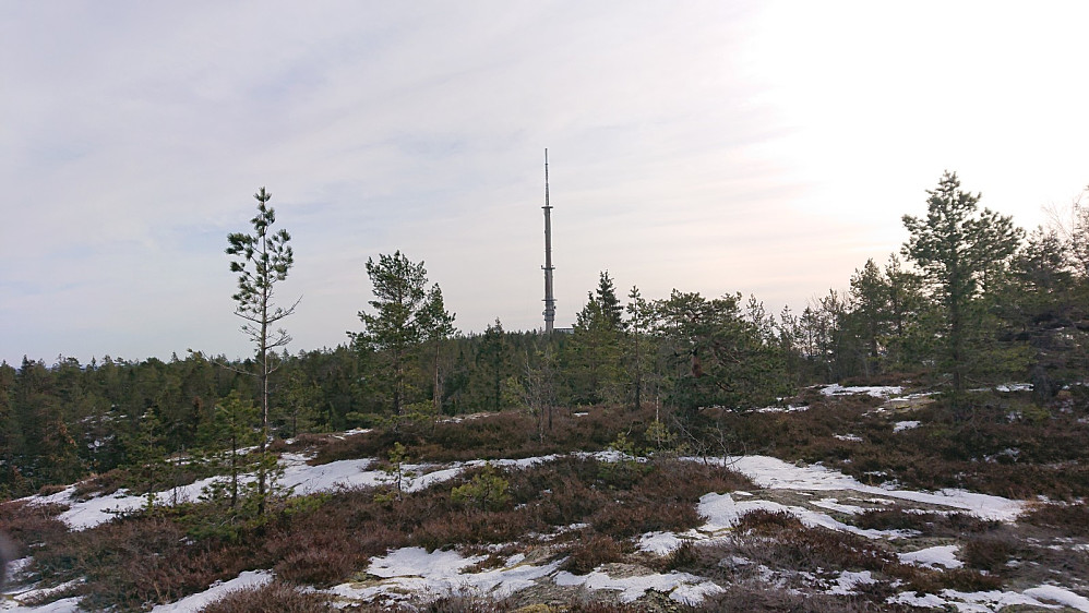 Ser bort på tårnet fra toppen av Kula.