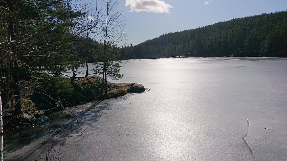 Åletjern