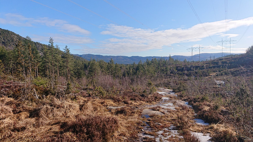 Langs den åpne kraftgata mellom Grunntjenn og Ulvsvann