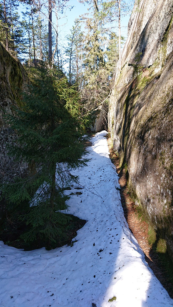 Fra Skilskjølen.
