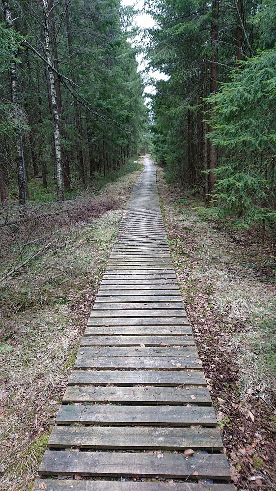 Flere hundre meter med klopper. Det var skiltet sykkelrute Farrisrunden, så antakelig derfor det var lagt ut slike.