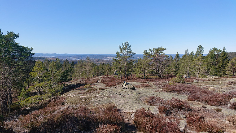 Flott åpent terreng på Østre Vealøs.