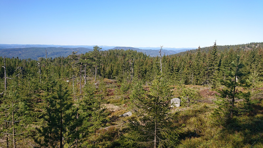 Fra Elggløtt.