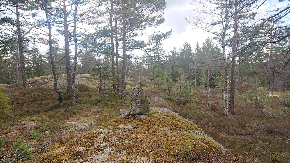 En liten varde markerer toppen på Seterkollane, høyeste punktet på Dansarfjellplatået.