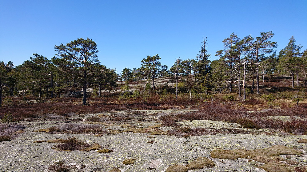 Landskap på Vestre Hoppefjell.