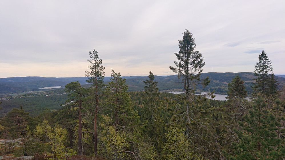 Utsikten og titoppermålet på Signalkulen. Heivannet og Vealøstårnet til høyre, Gorningen langt unna til venstre med Holtesletta i forgrunnen.