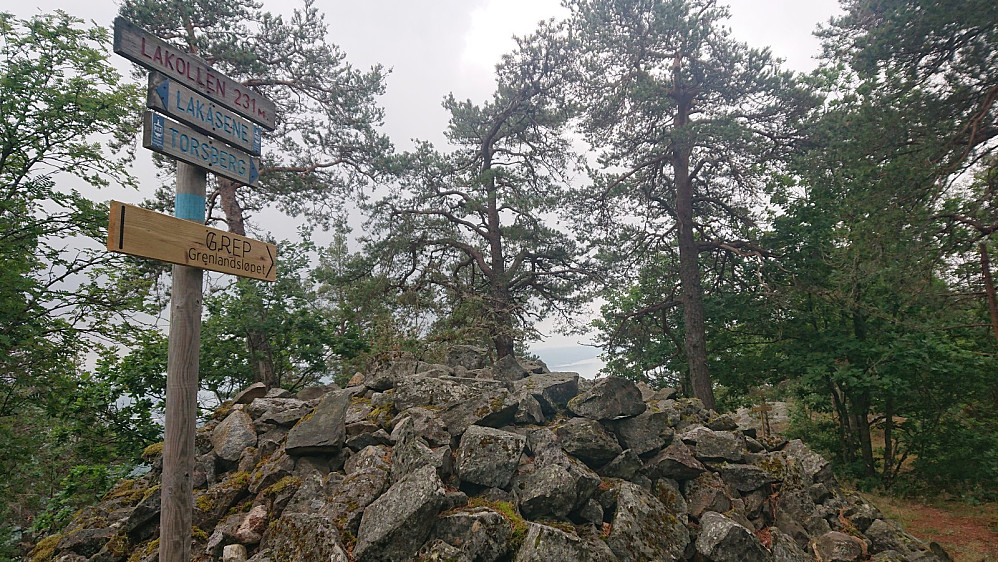 Toppen av Lakollen.