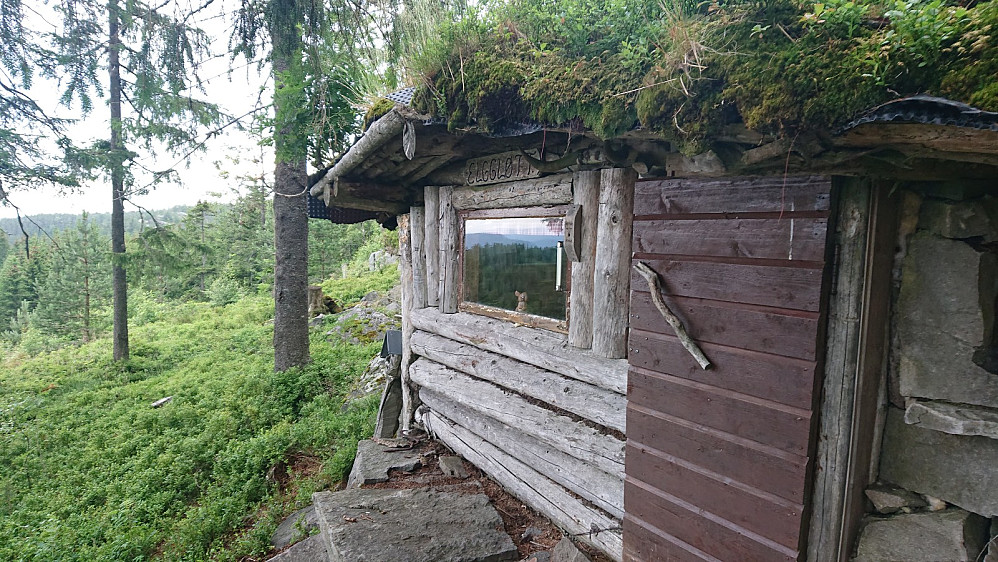 Måtte få inn et juni-besøk på Elggløtt.