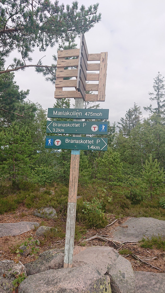 Toppen av Mælakollen.