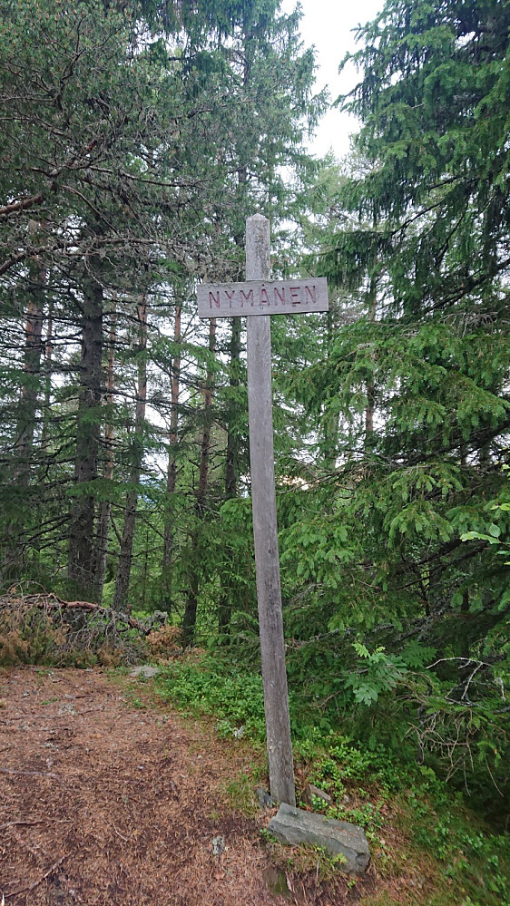 Nymånen, ingen utsikt herfra.