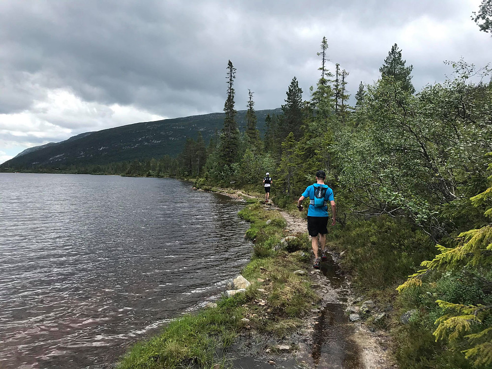 Fantastisk sti helt i vannkanten langs Gavlesjå. Dette var nydelig etter krevende terreng mellom Øysteinnatten og Himingen.