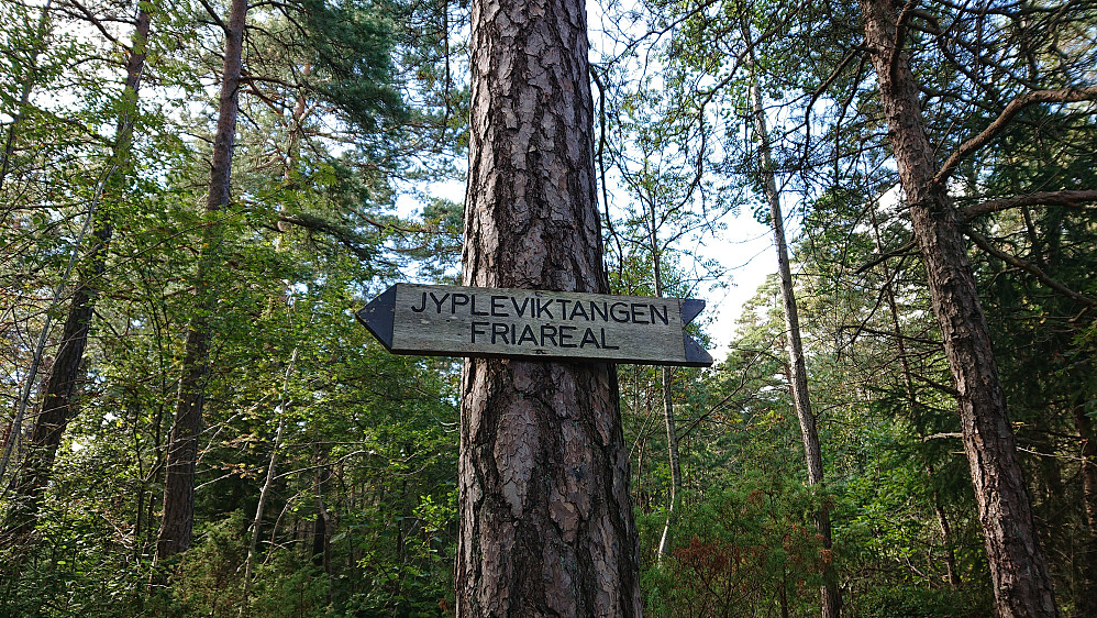 Fin sti hele veien. 