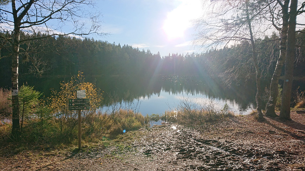 Ved gapahuken ved Hvitsteintjenn.