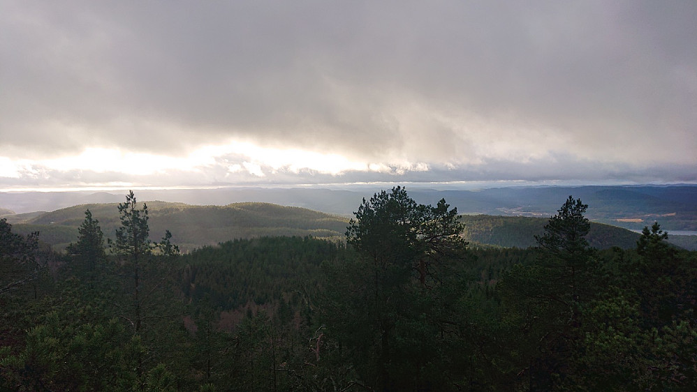 Sola skinner gjennom på Langelandskollen.