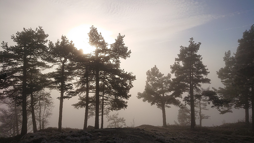 Tåka lå helt opp til Ramsberget. Men fint lys når sola skinte gjennom.