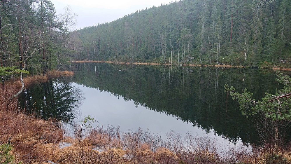 Stille ved Langetjenn.