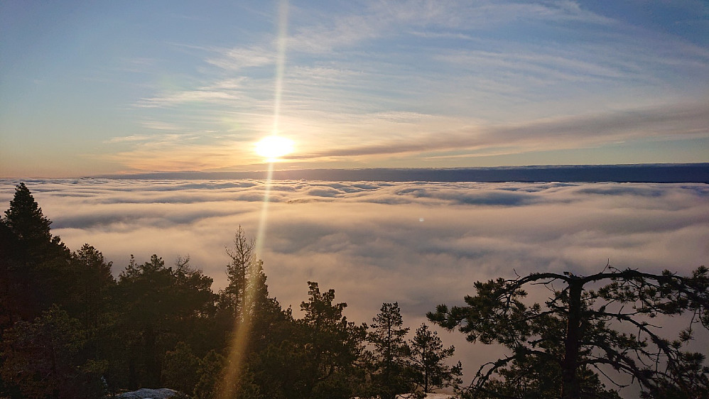 Utsikt over tåkehavet, fra Ulvskollen.