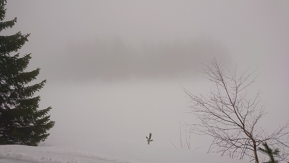 "Utsikt" over Havretjenn.