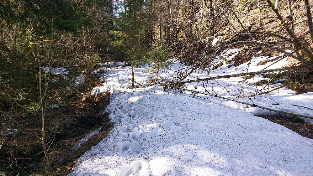 Fortsatt snø, her mellom Østre Vealøs og Gramsebu.