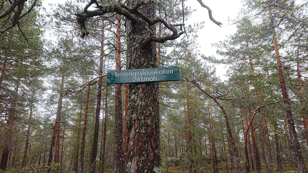 Ny topp langs sti jeg aldri har tatt før.