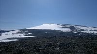 Hestedalshøgda sett fra høyde 1726. 