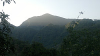 dygj_2014-11-09-731.jpg