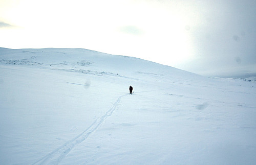 Vi køyrde ned på nordsiden av Trollhøe (oppe til venstre i bildekanten) og skrådde inn mot alpinbakken igjen