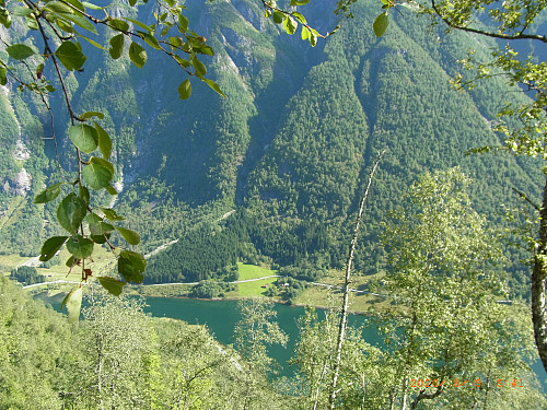 Utsikt mot Esefjorden