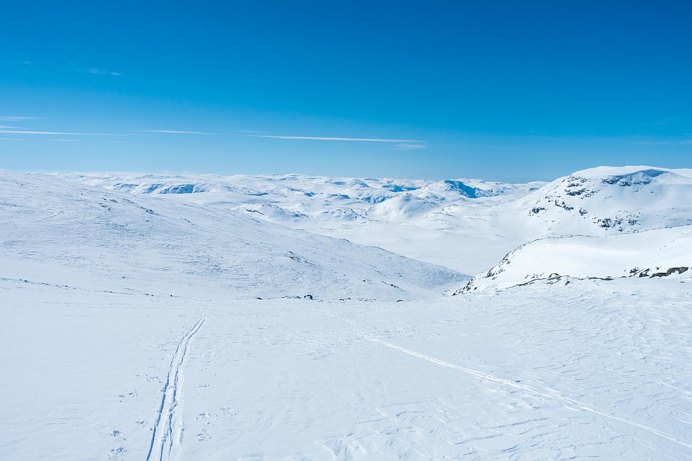 Fint fjellskiterreng dette