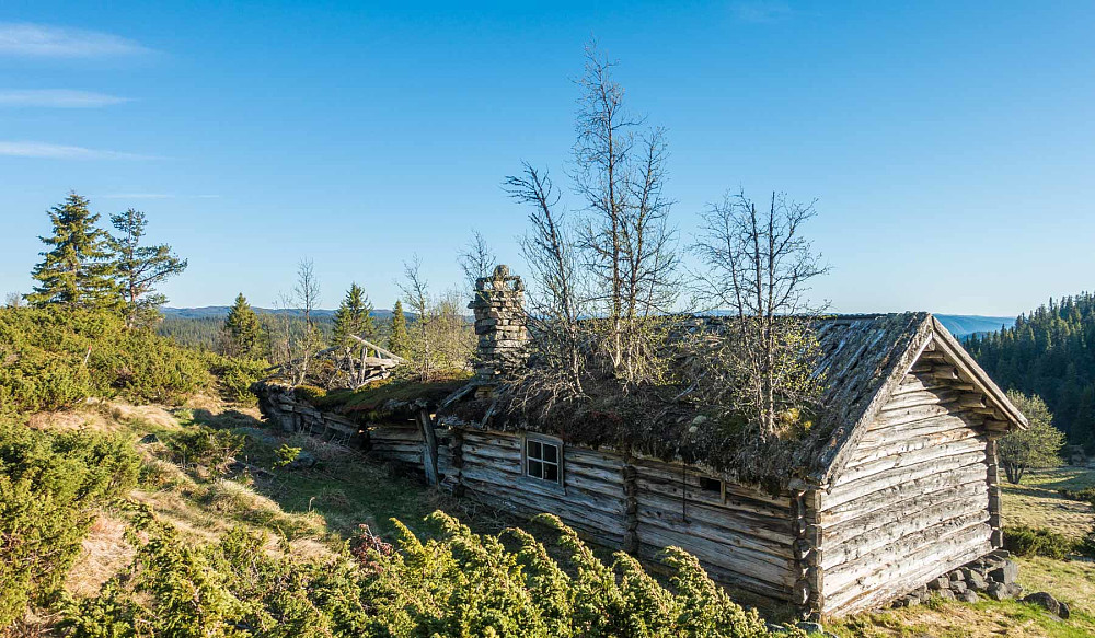 Naturen tar tilbake ved Storelie
