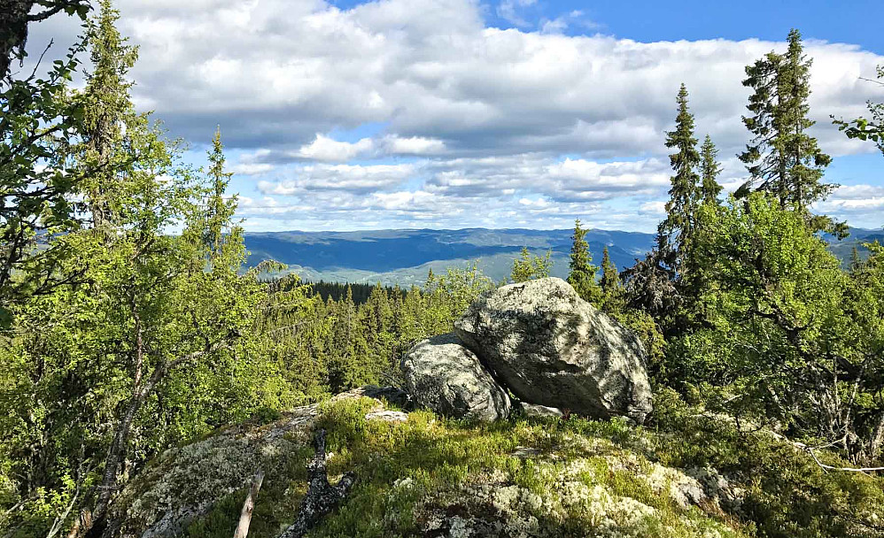 Turens beste utsikt - østover fra Liaåsen.