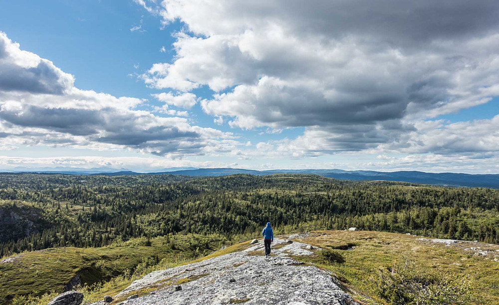 Off piste på vei hjem