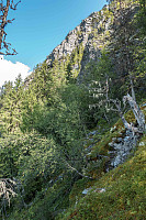LarsStorheim_20170822_599c7c65d08ee.jpg