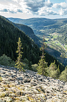 LarsStorheim_20170822_599c7c9abdd49.jpg
