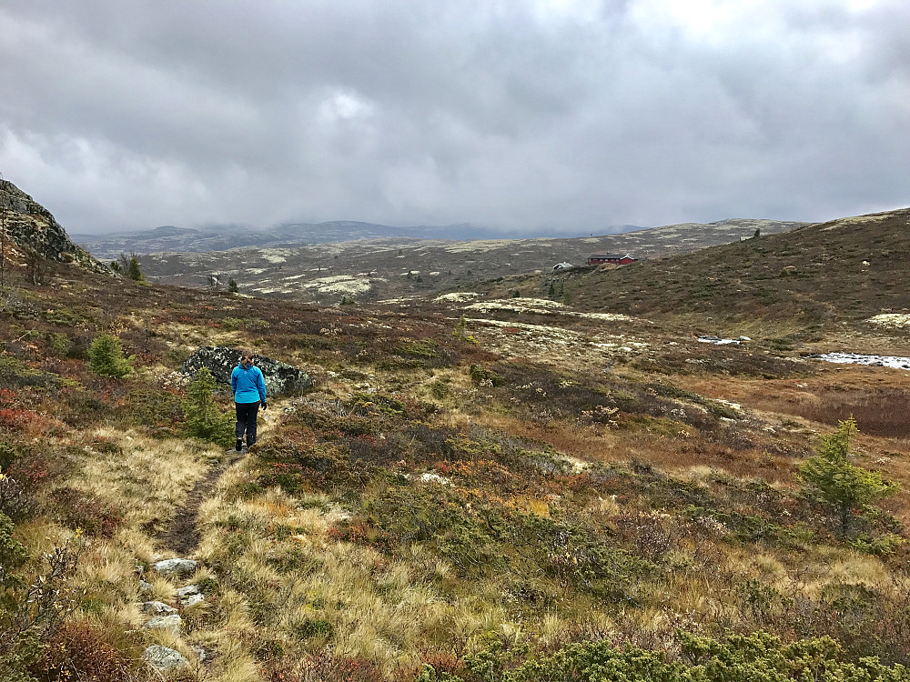 Marie på vei mot Vestre Brynhildstølen