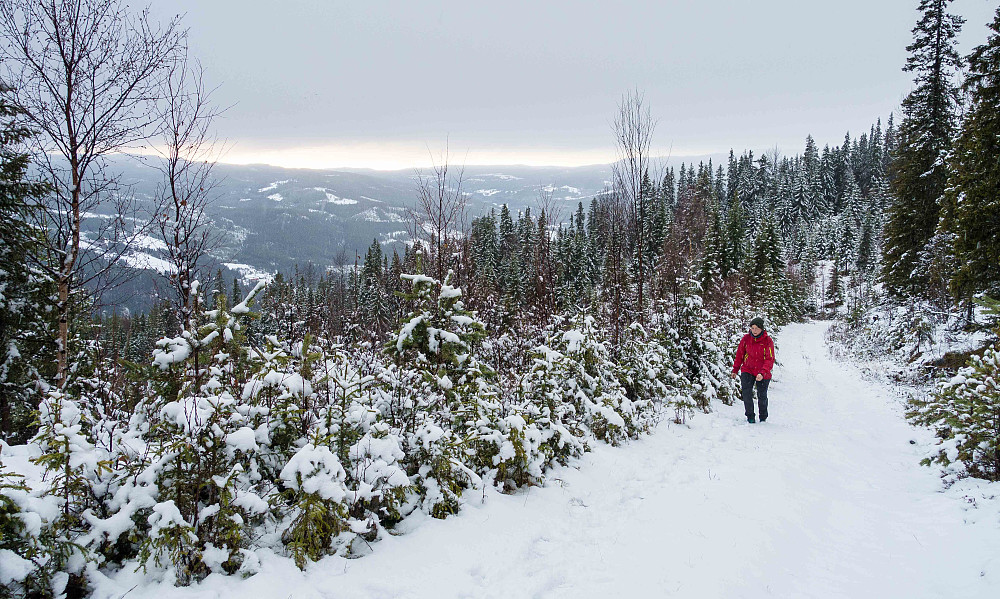Skogsveien opp fra Dypedokk