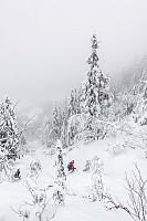 LarsStorheim_20180122_5a659676c1723.jpg