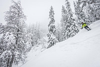 LarsStorheim_20180122_5a6596afb452a.jpg