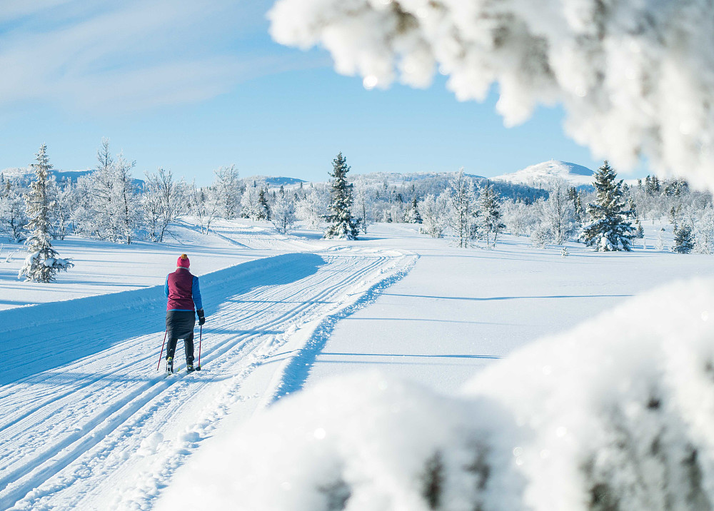Marie i fint driv innover mot Såtenatten (til høyre i bildet)
