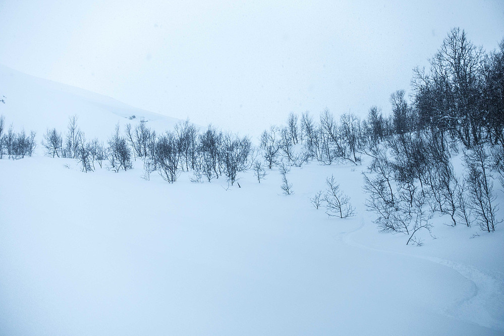 Artig terreng og kanongod snø på vei ned fra Storeskardnøse