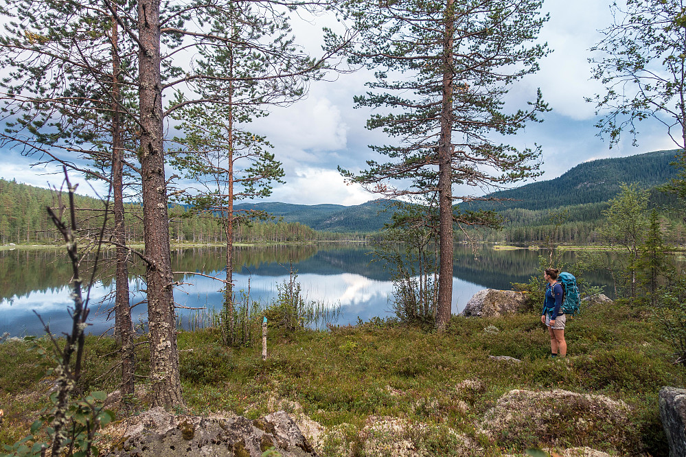 Suluvatnet