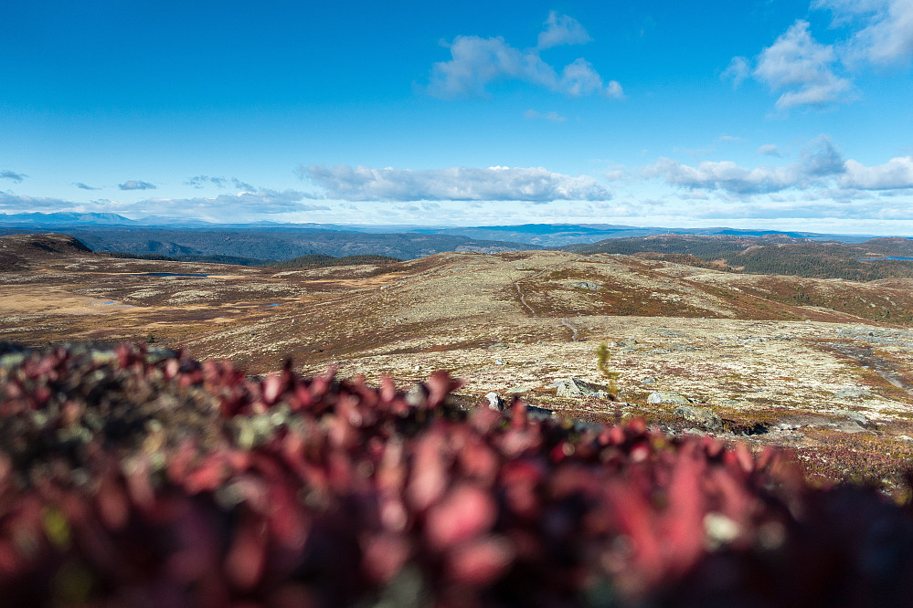 Den fineste sykkelstien på hele runden - nordover fra 
toppen av Smylifjell. God flyt!
