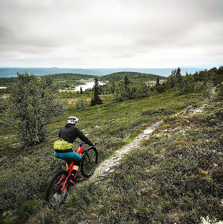Mange kilometer med fin sykkelsti over skoggrensa