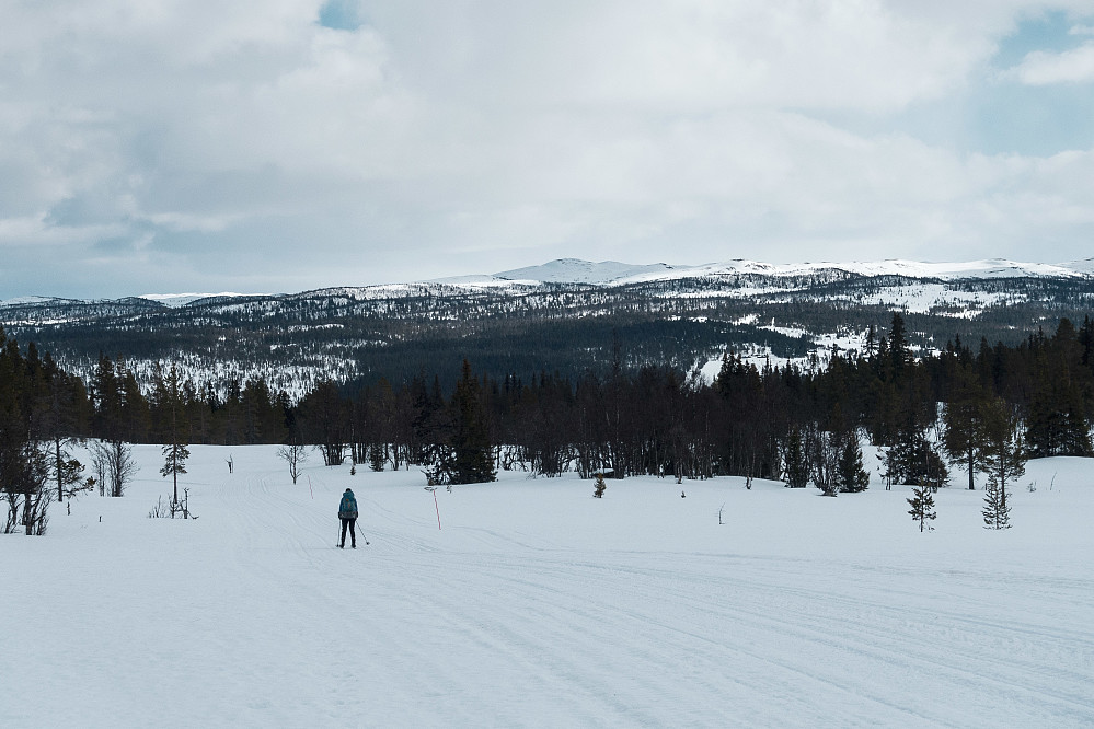 I bakkene ned mot Synstevatn. Åkrefjell midt i bildet. Ruta vår videre gikk via Liaset, til høyre i bildet.