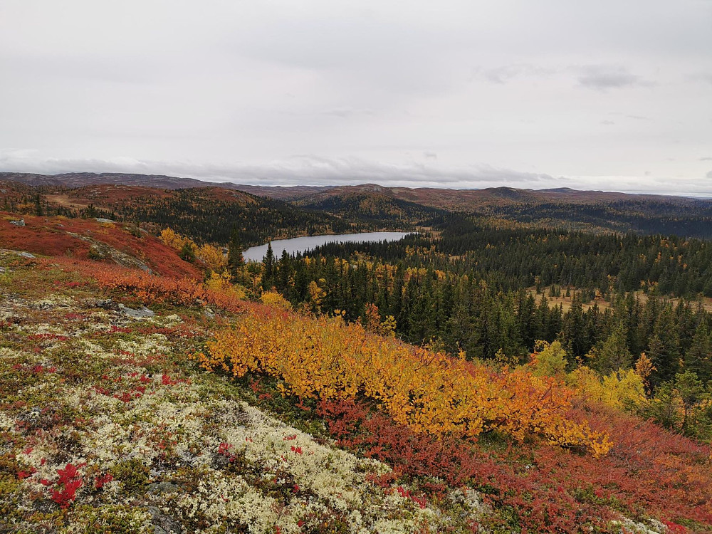 Lekre farger i fjellet om dagen.